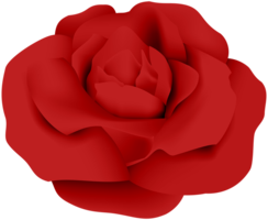 flowers & Rose free transparent png image.