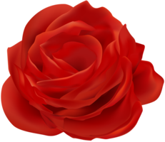 flowers & Rose free transparent png image.