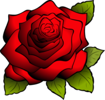 flowers & Rose free transparent png image.