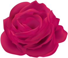 flowers & Rose free transparent png image.