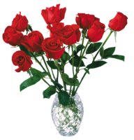 flowers & Rose free transparent png image.