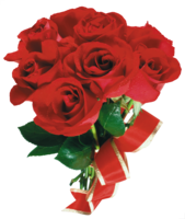 flowers & Rose free transparent png image.