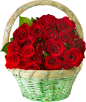 flowers & rose free transparent png image.