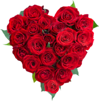 flowers & Rose free transparent png image.