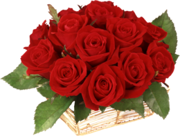 flowers & Rose free transparent png image.