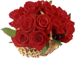 flowers & rose free transparent png image.