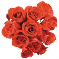 flowers & Rose free transparent png image.