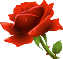 flowers & Rose free transparent png image.