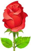 flowers & rose free transparent png image.