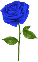 flowers & Rose free transparent png image.