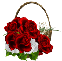 flowers & rose free transparent png image.