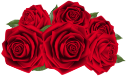 flowers & Rose free transparent png image.