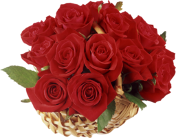 flowers & Rose free transparent png image.