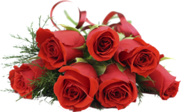 flowers & Rose free transparent png image.