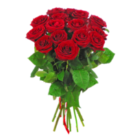 flowers & Rose free transparent png image.