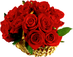 flowers & rose free transparent png image.