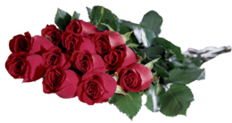 flowers & rose free transparent png image.