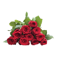 flowers & Rose free transparent png image.