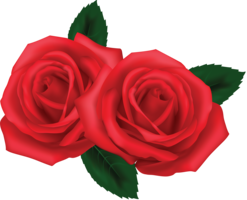 flowers & rose free transparent png image.