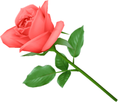 flowers & Rose free transparent png image.