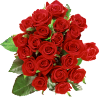 flowers & Rose free transparent png image.