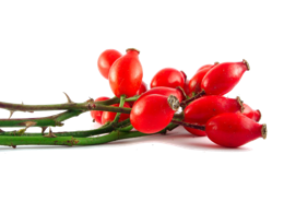 fruits & Rose hip free transparent png image.