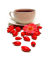 fruits & rose hip free transparent png image.