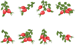 fruits & rose hip free transparent png image.