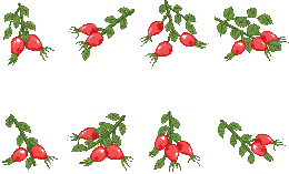 fruits & Rose hip free transparent png image.