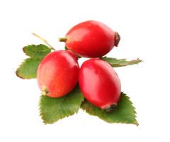 fruits & Rose hip free transparent png image.