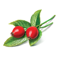 fruits & Rose hip free transparent png image.