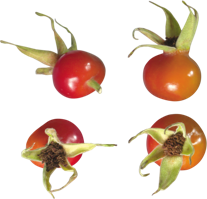 fruits & rose hip free transparent png image.