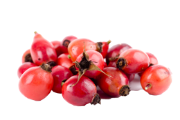 fruits & Rose hip free transparent png image.