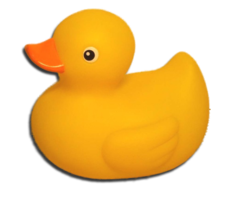 miscellaneous & rubber duck free transparent png image.