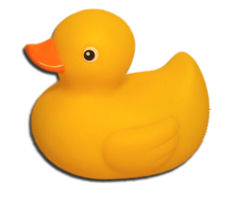 miscellaneous & Rubber duck free transparent png image.