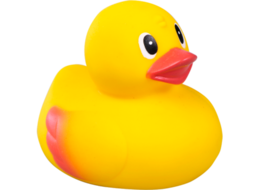 miscellaneous & rubber duck free transparent png image.