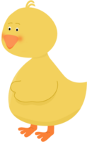 miscellaneous & Rubber duck free transparent png image.