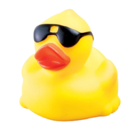 miscellaneous & Rubber duck free transparent png image.