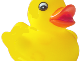 miscellaneous & Rubber duck free transparent png image.