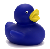 miscellaneous & Rubber duck free transparent png image.