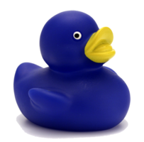 miscellaneous & rubber duck free transparent png image.