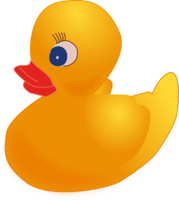 miscellaneous & rubber duck free transparent png image.