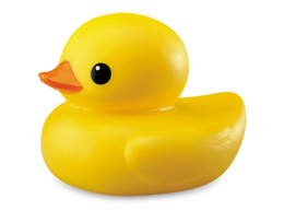 miscellaneous & rubber duck free transparent png image.