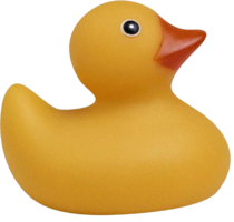 miscellaneous & rubber duck free transparent png image.