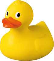 miscellaneous & rubber duck free transparent png image.