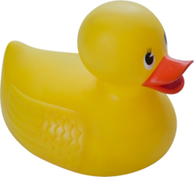 miscellaneous & rubber duck free transparent png image.