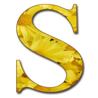 alphabet & s free transparent png image.