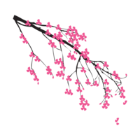 nature & Sakura free transparent png image.