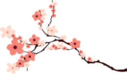 nature & Sakura free transparent png image.