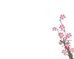 nature & Sakura free transparent png image.